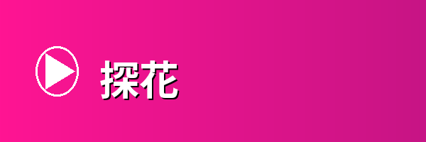 探花